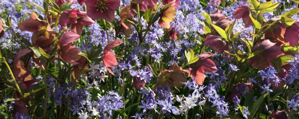 5997FC85-2C70-4181-B874-B252B6313075